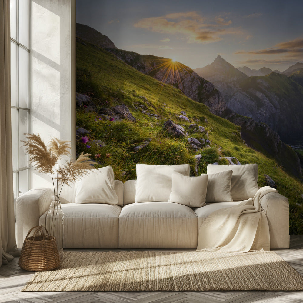 Summer Meadow | Wallpaper