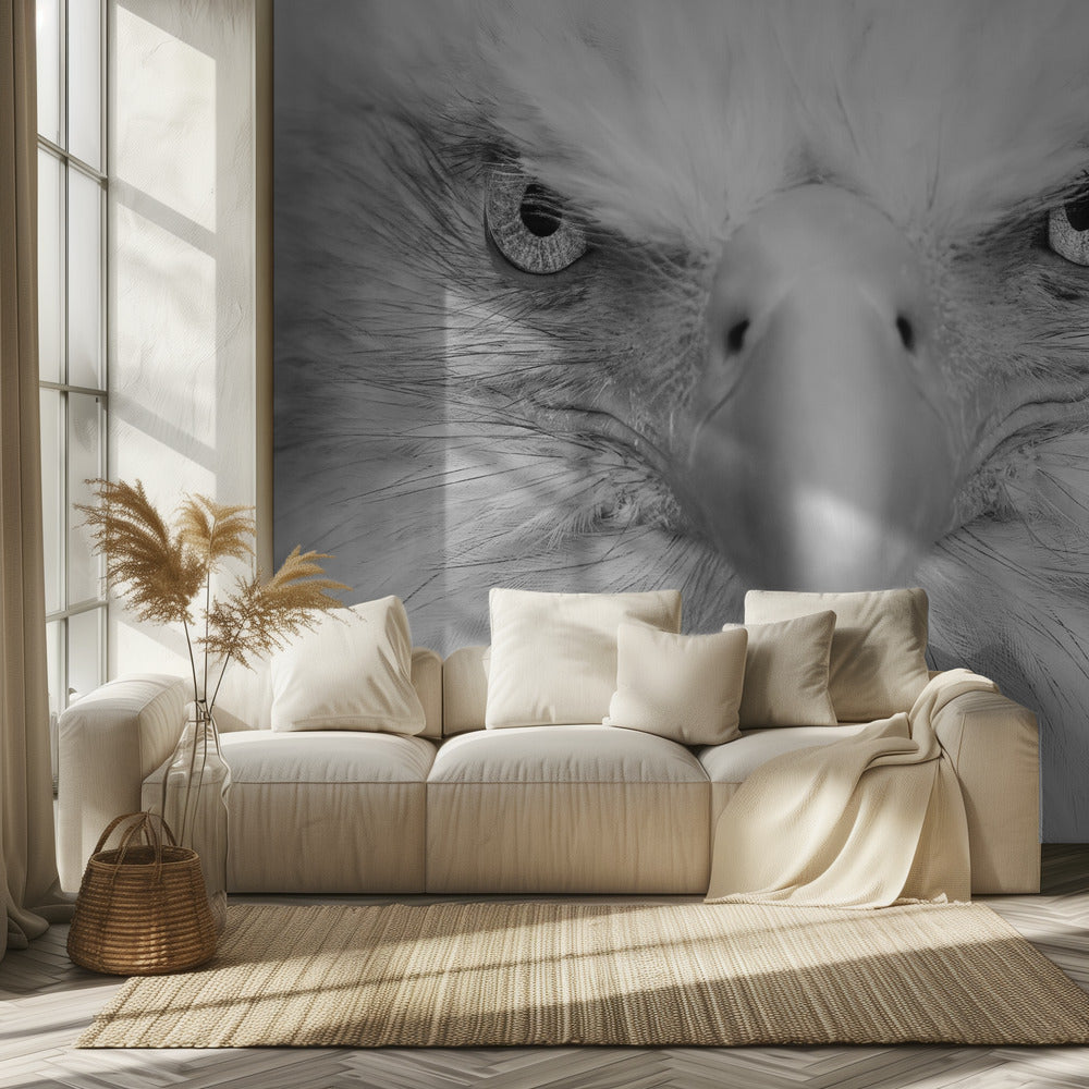 Killer Eyes | Wallpaper