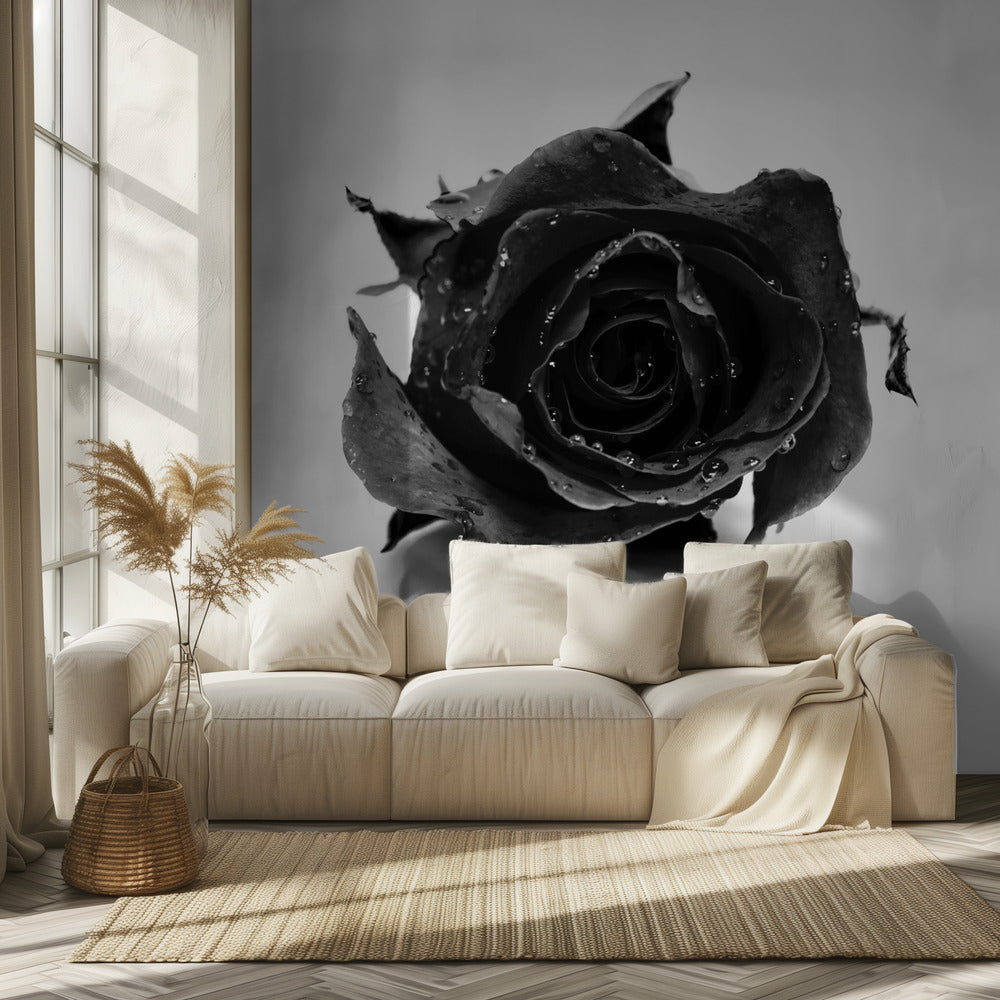Rose Noir | Wallpaper