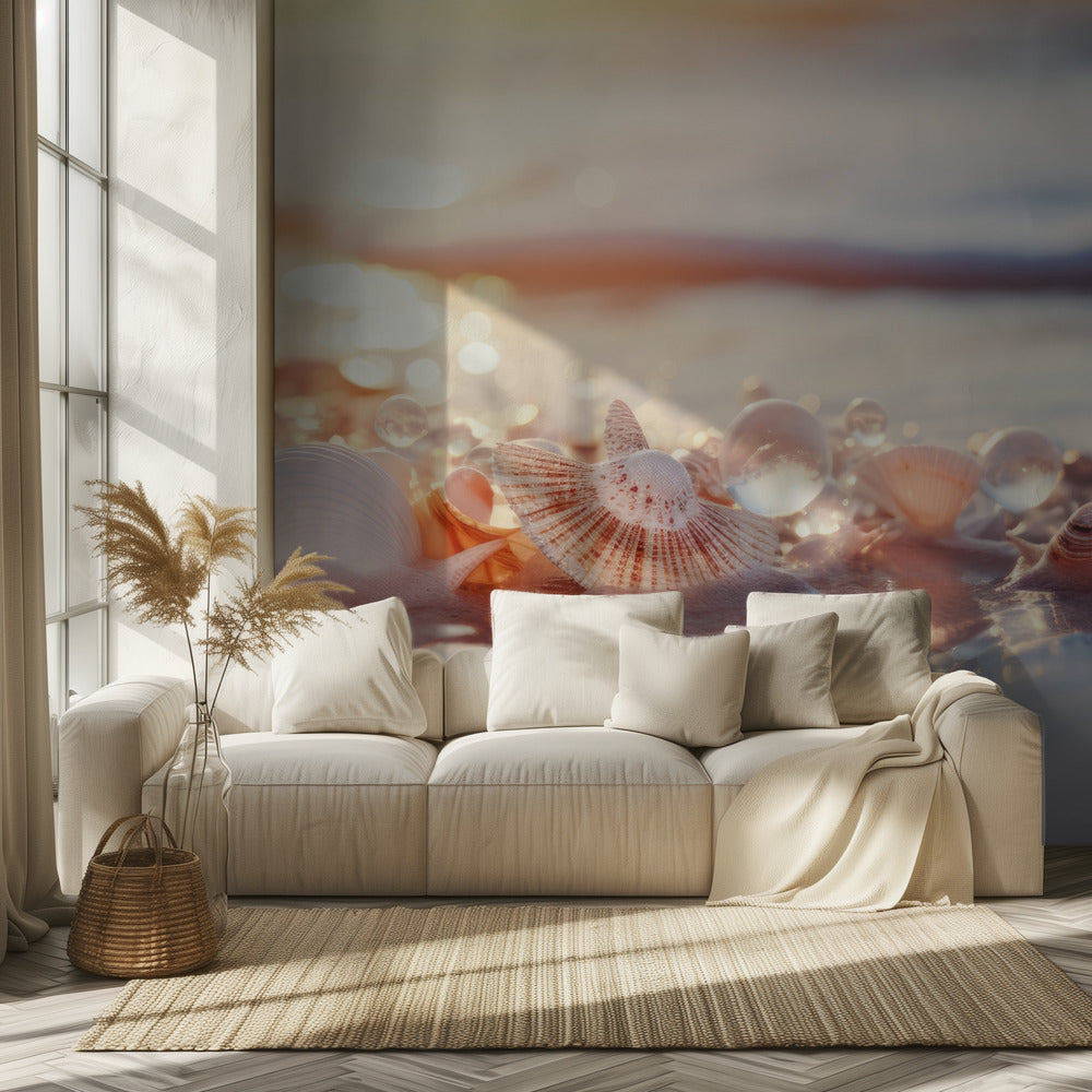 Seashell Serenity | Wallpaper