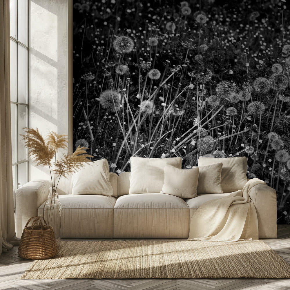 The dandelion field | Wallpaper