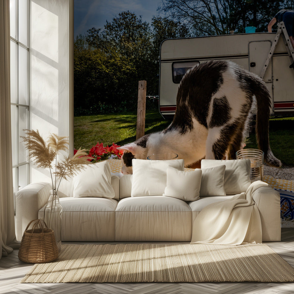 Simular poses... | Wallpaper