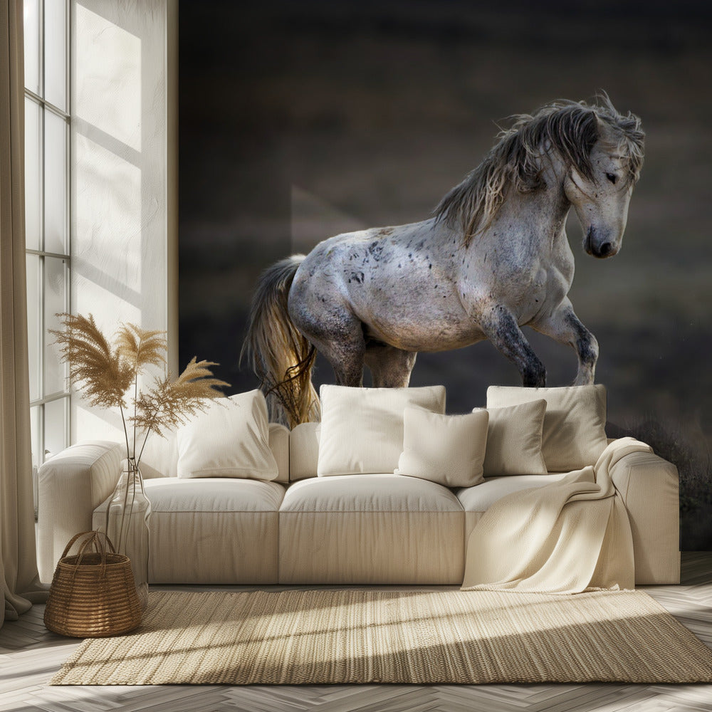 Mustang, Wild Horse / Equus ferus caballus | Wallpaper