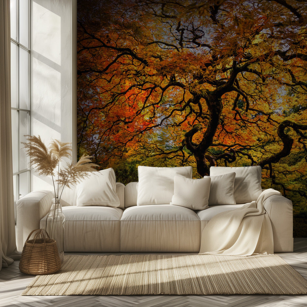 The maple Tree | Wallpaper