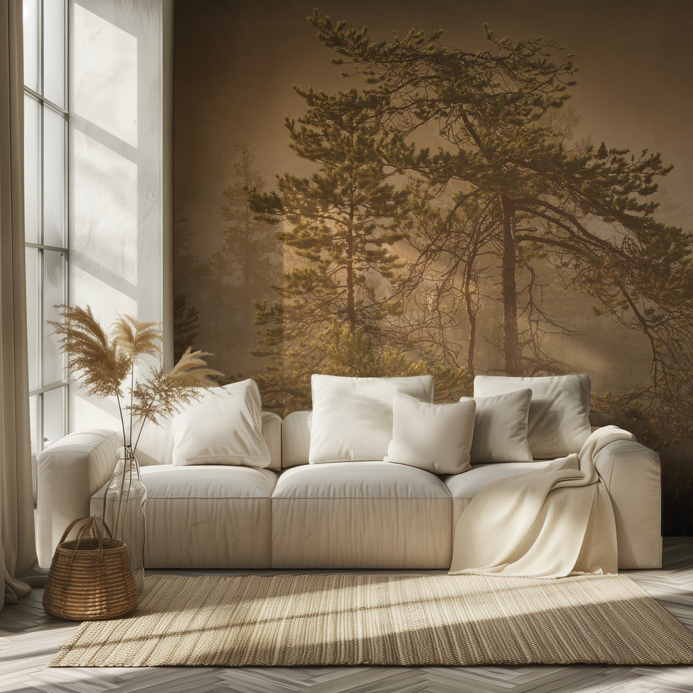 20220809  Dsf8003 1 | Wallpaper