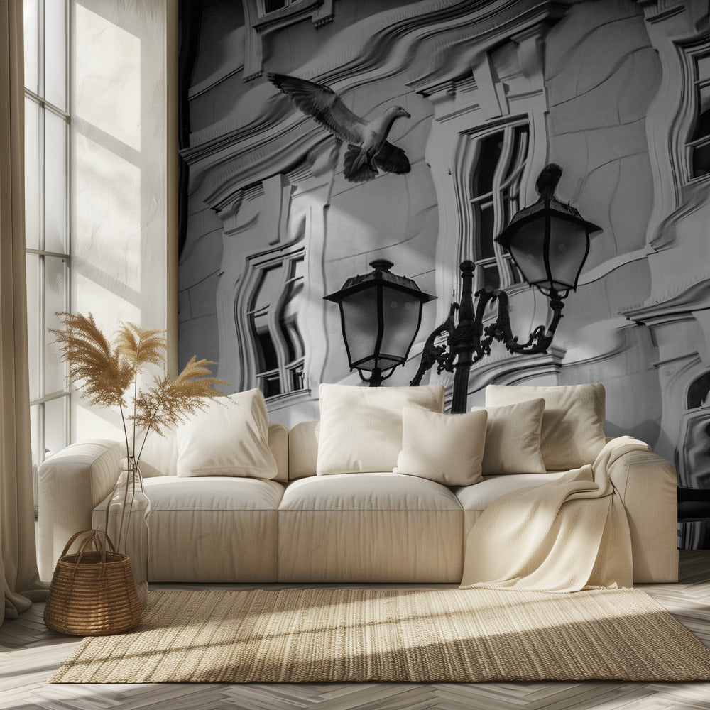 Gull reflection | Wallpaper