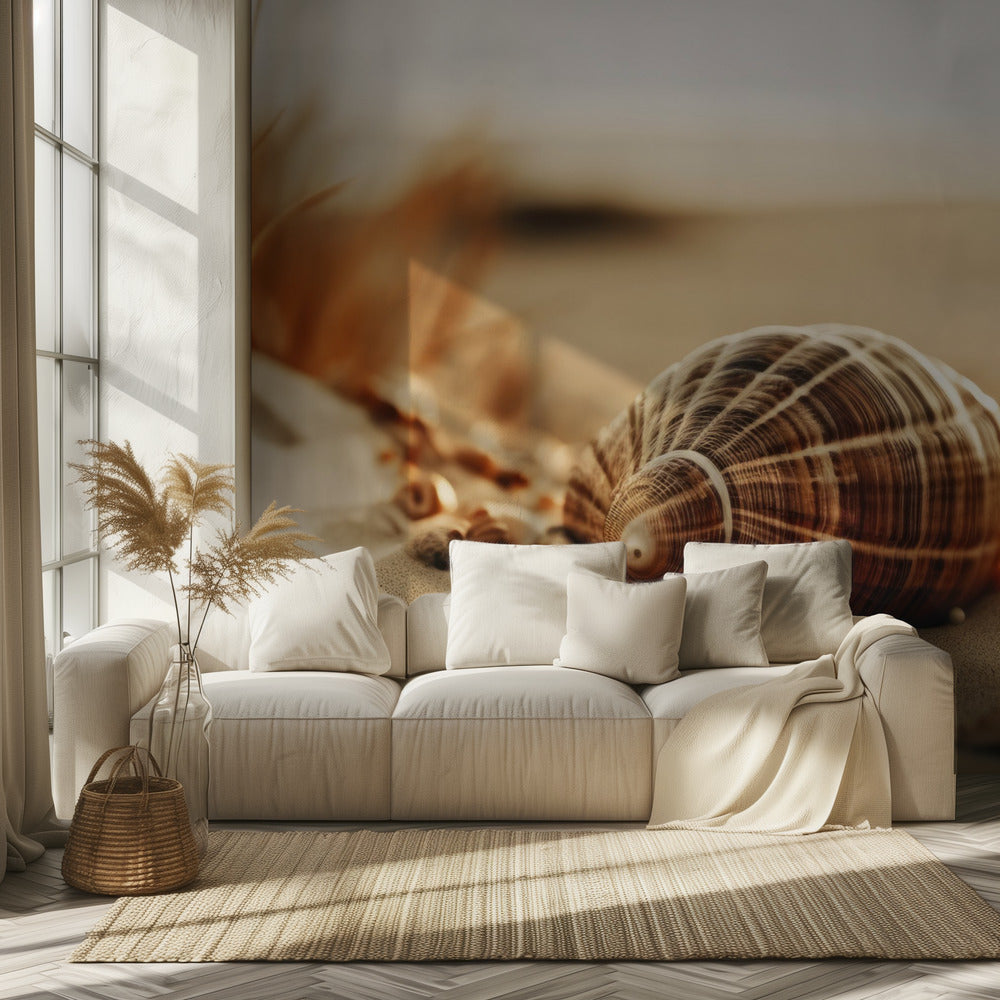 Dunes' Silent Shells | Wallpaper