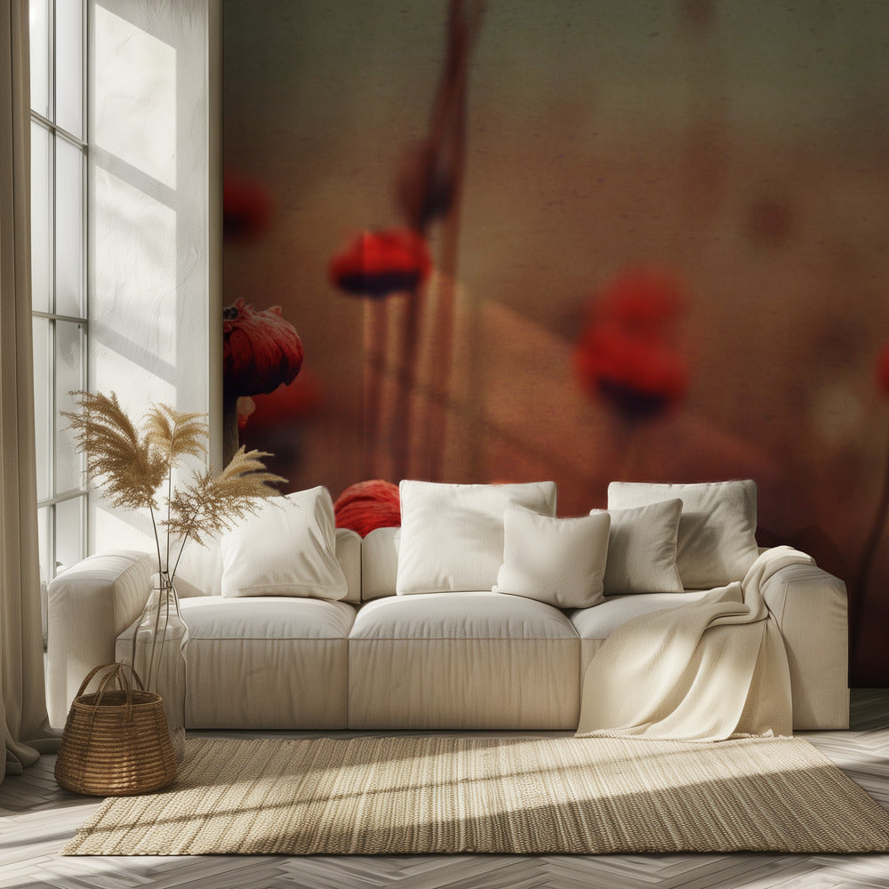 Poppy Dreams | Wallpaper