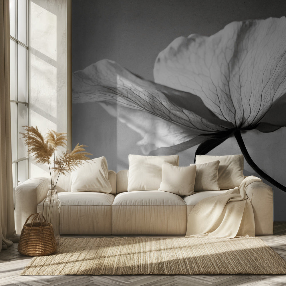 Delicate Petal Dance | Wallpaper