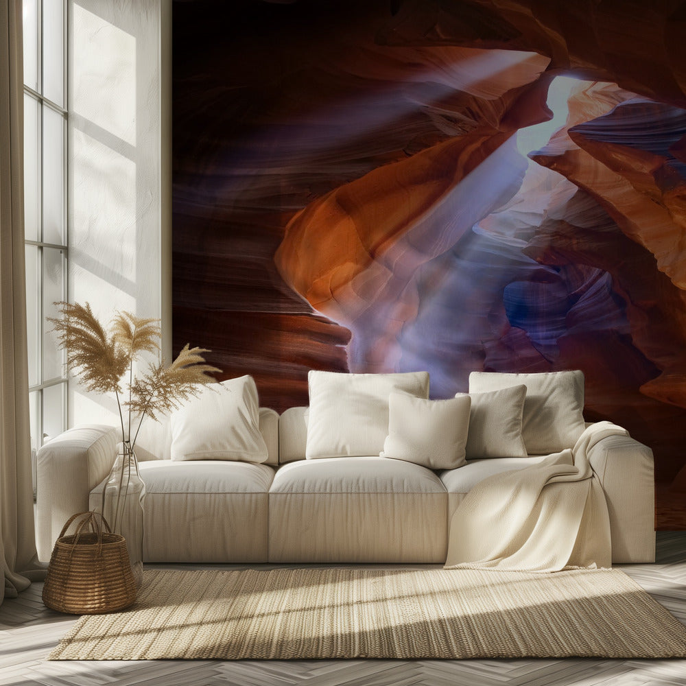 Pure Photodelight 2 | Wallpaper