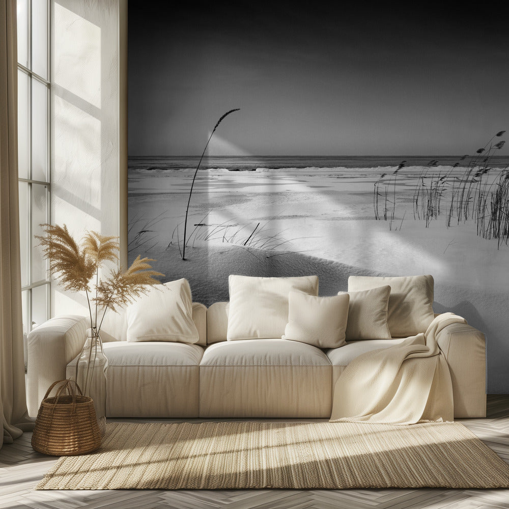 Orchestra | Wallpaper