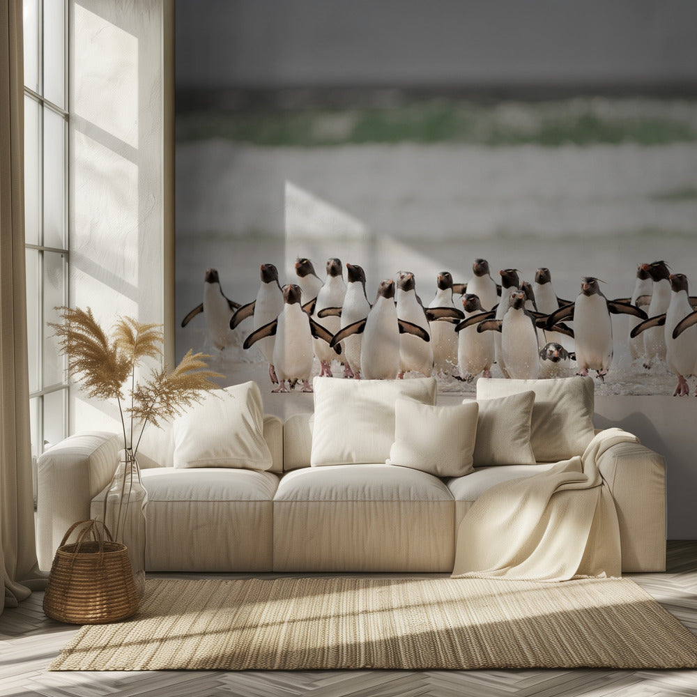 Desembarco | Wallpaper