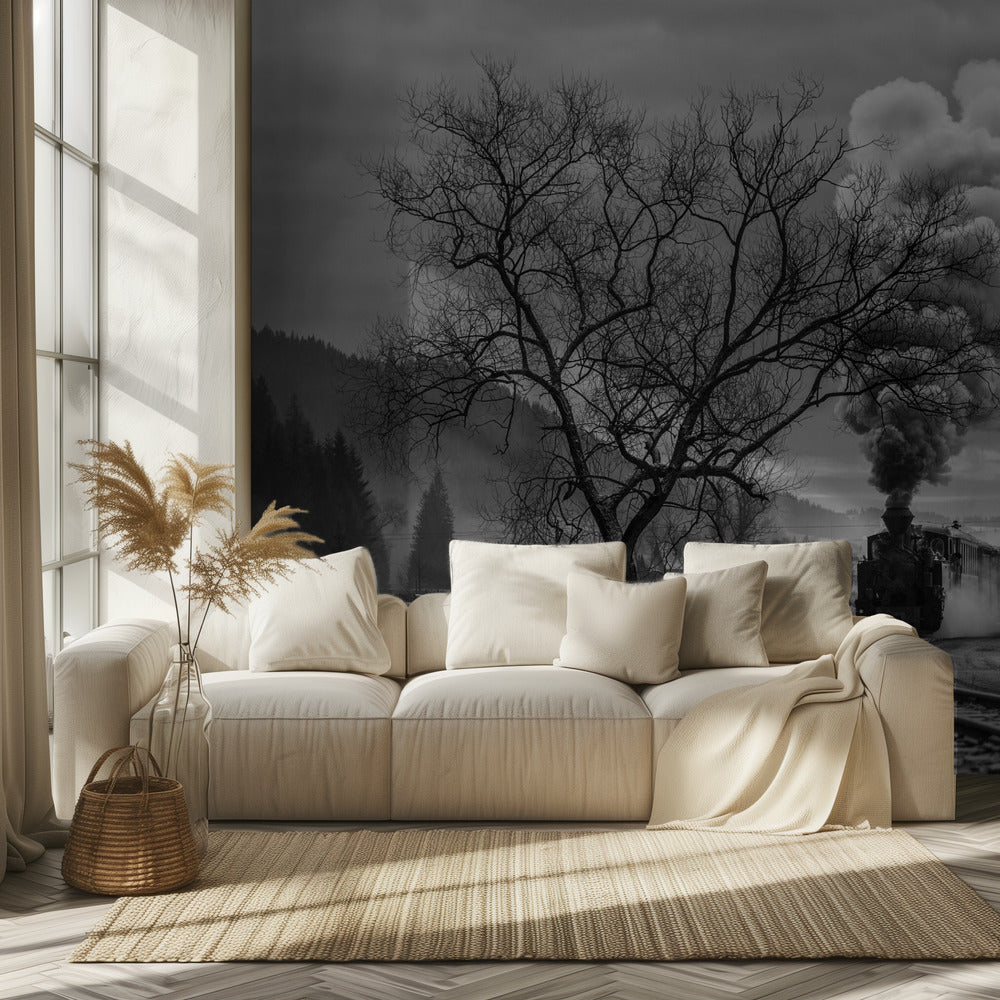 Mocanita Hutulca | Wallpaper