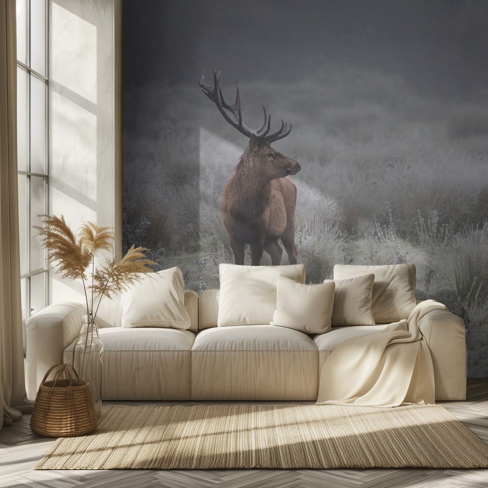 Prideful. deer . | Wallpaper