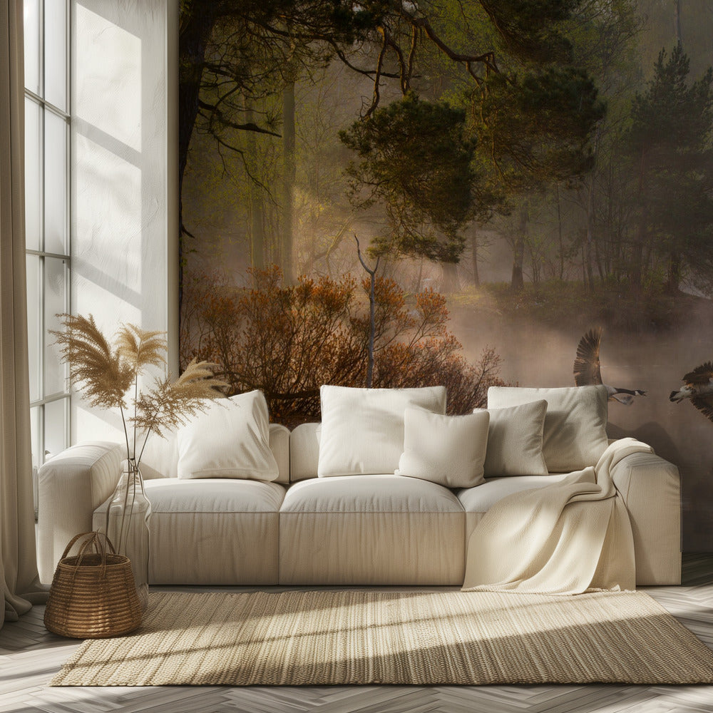 Goose fight | Wallpaper