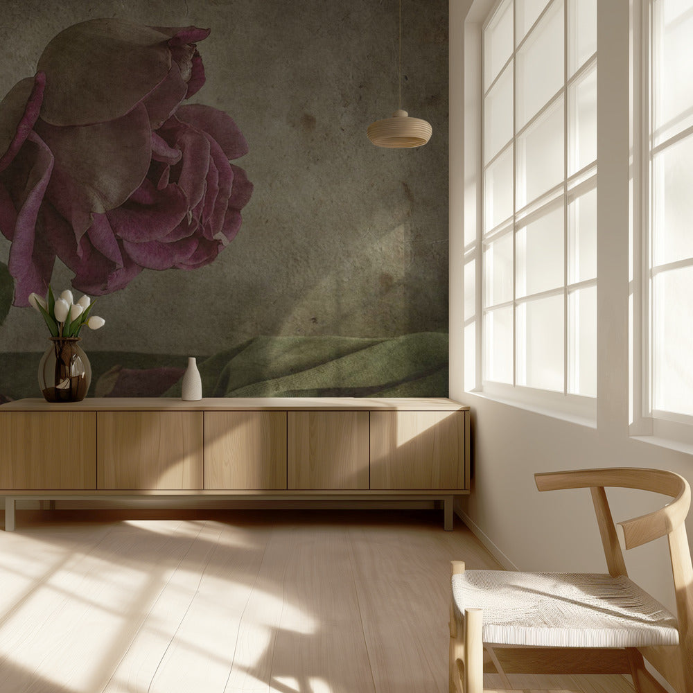 Tear of Rose | Wallpaper