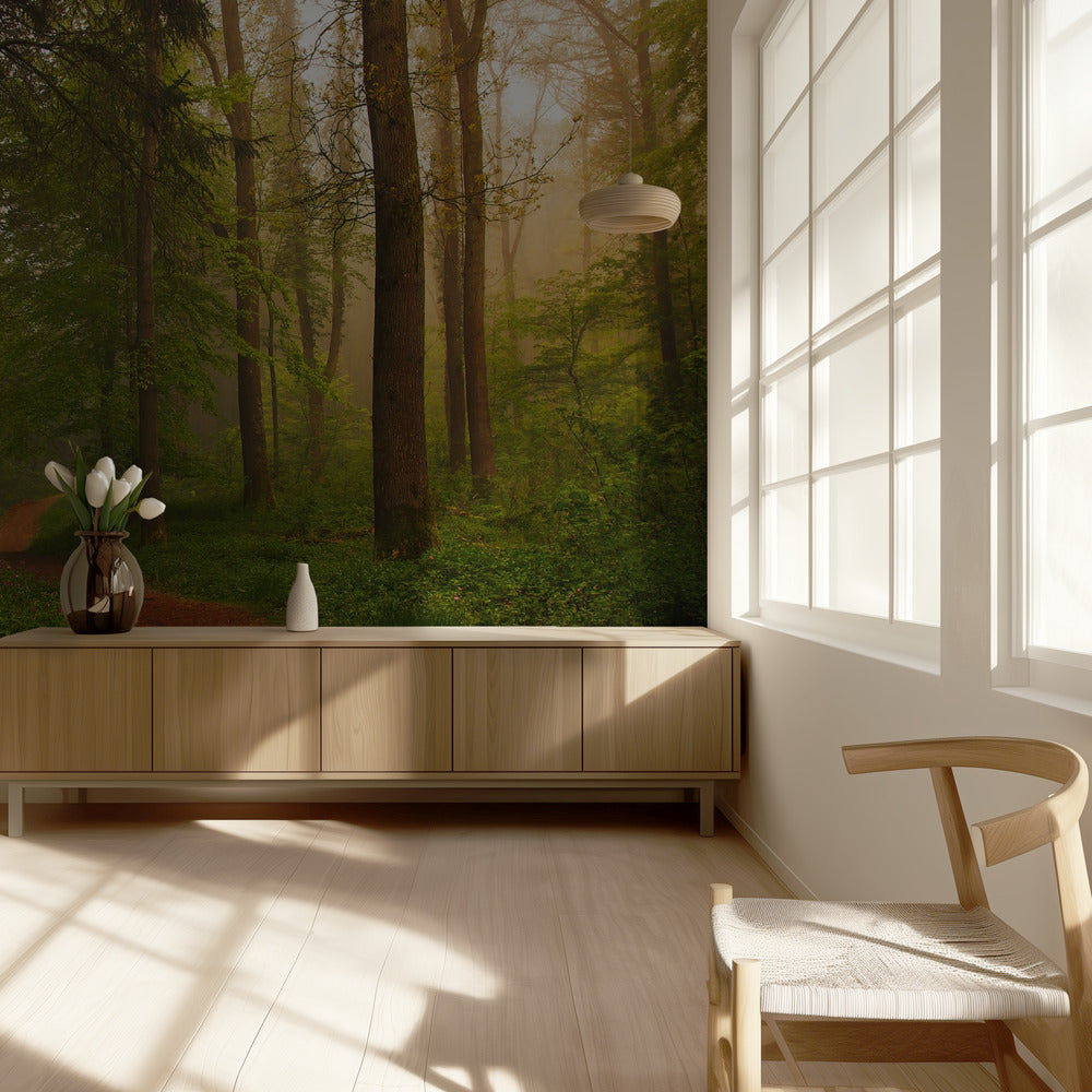 The Red Path. | Wallpaper