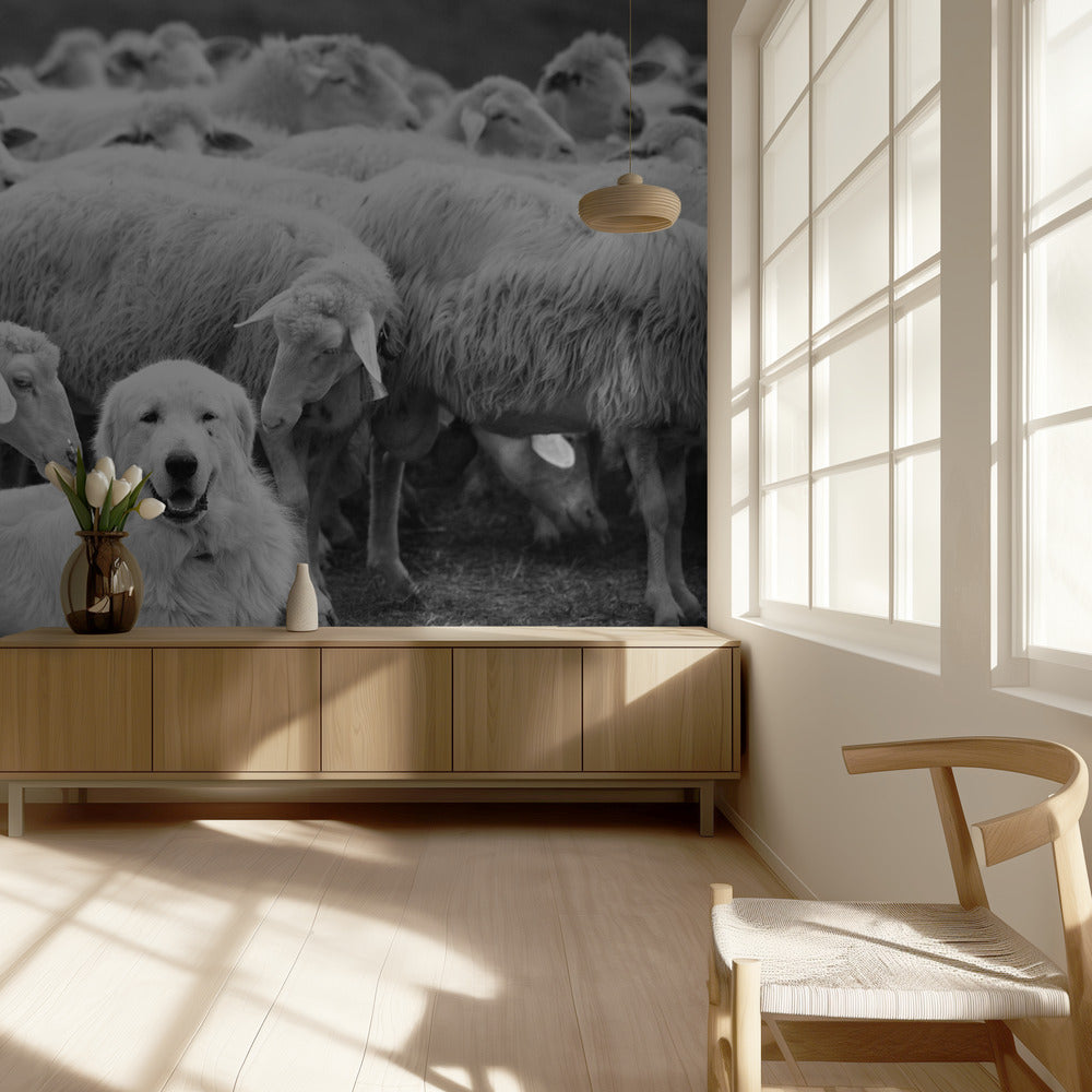 The Boss | Wallpaper