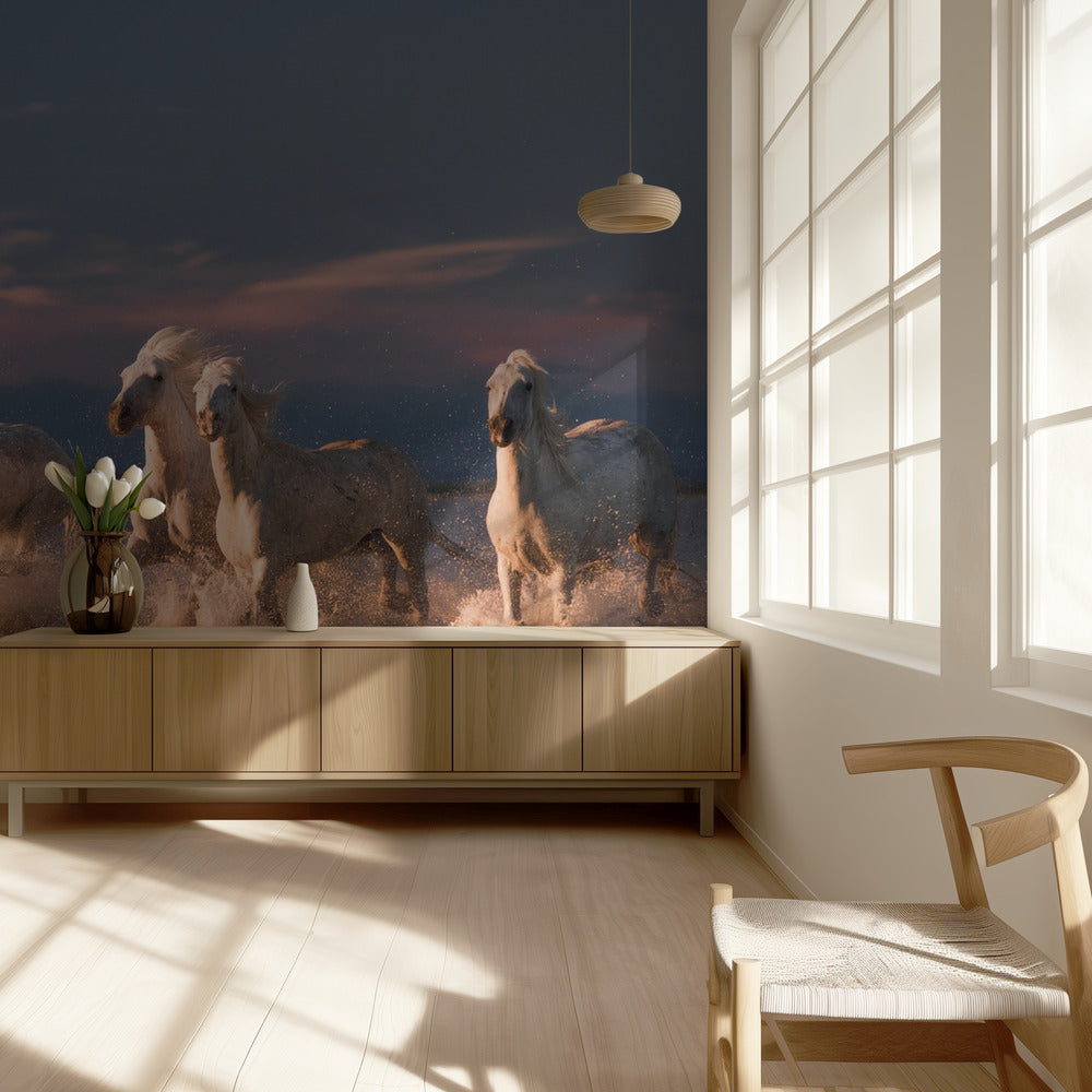 Angels of Camargue | Wallpaper