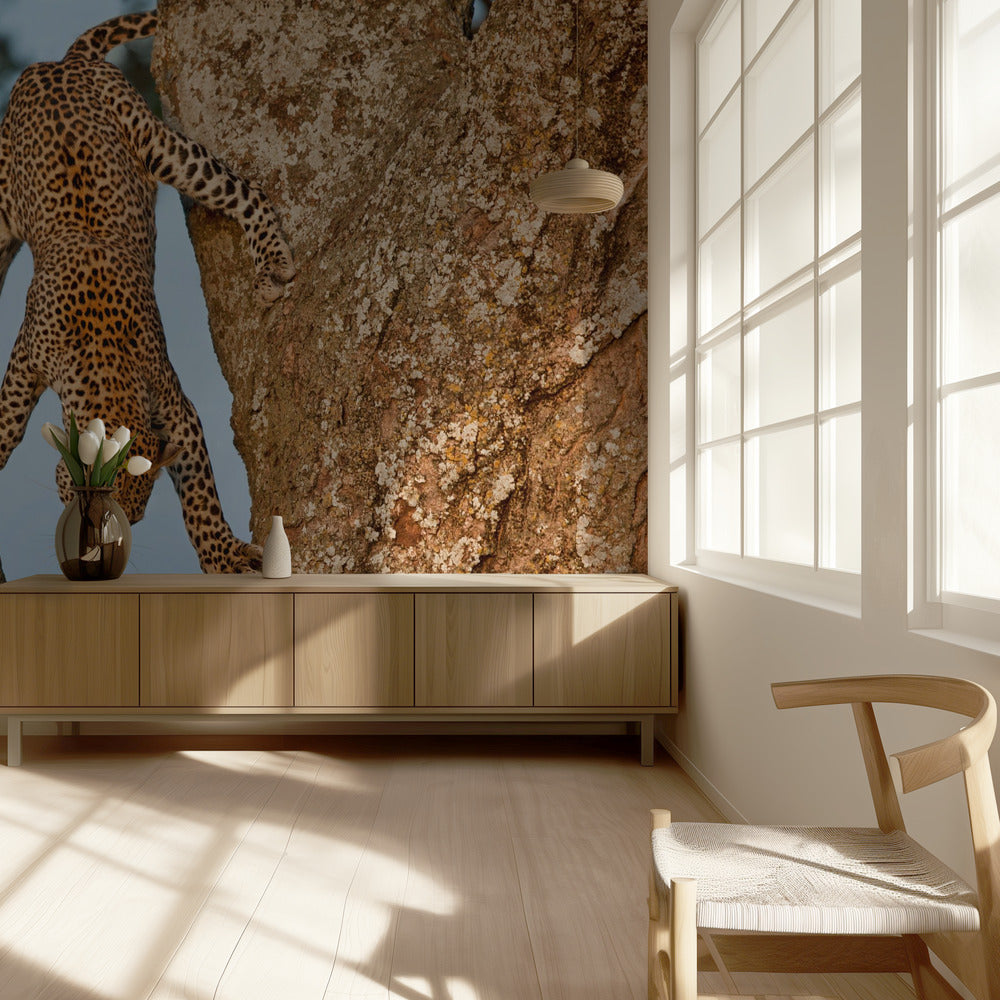 Upside Down | Wallpaper