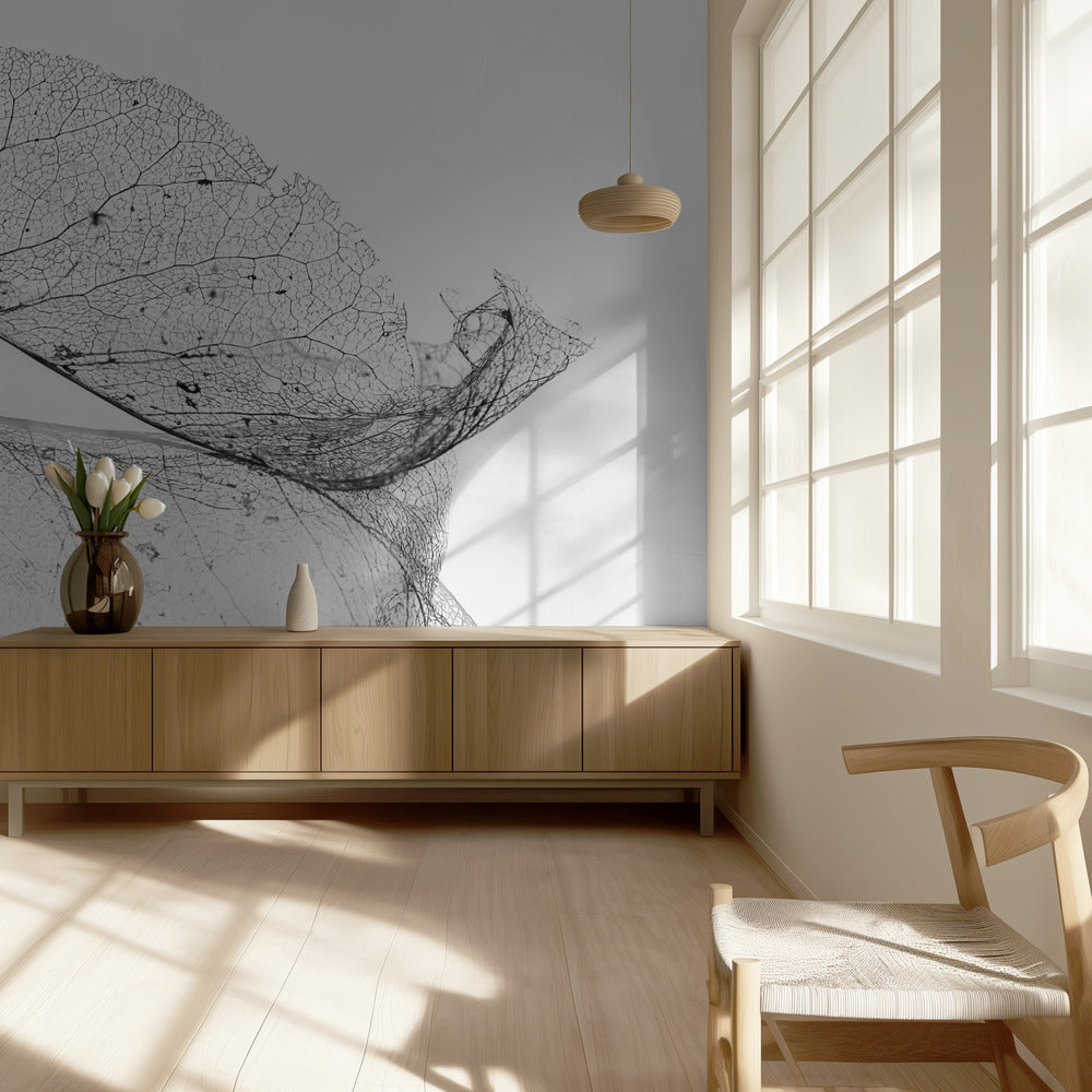 The old leaf | Wallpaper