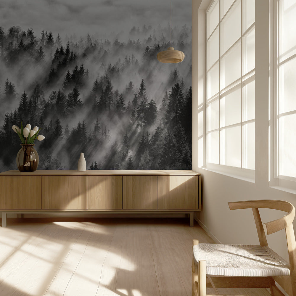 Sundance No.1 | Wallpaper