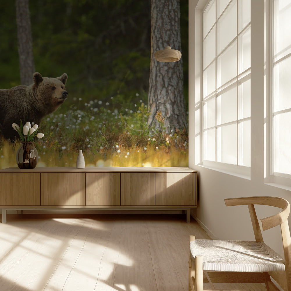 Brown Bear | Wallpaper