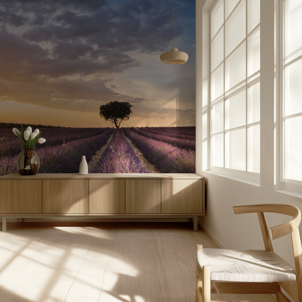 DESTINATION LAVENDER | Wallpaper