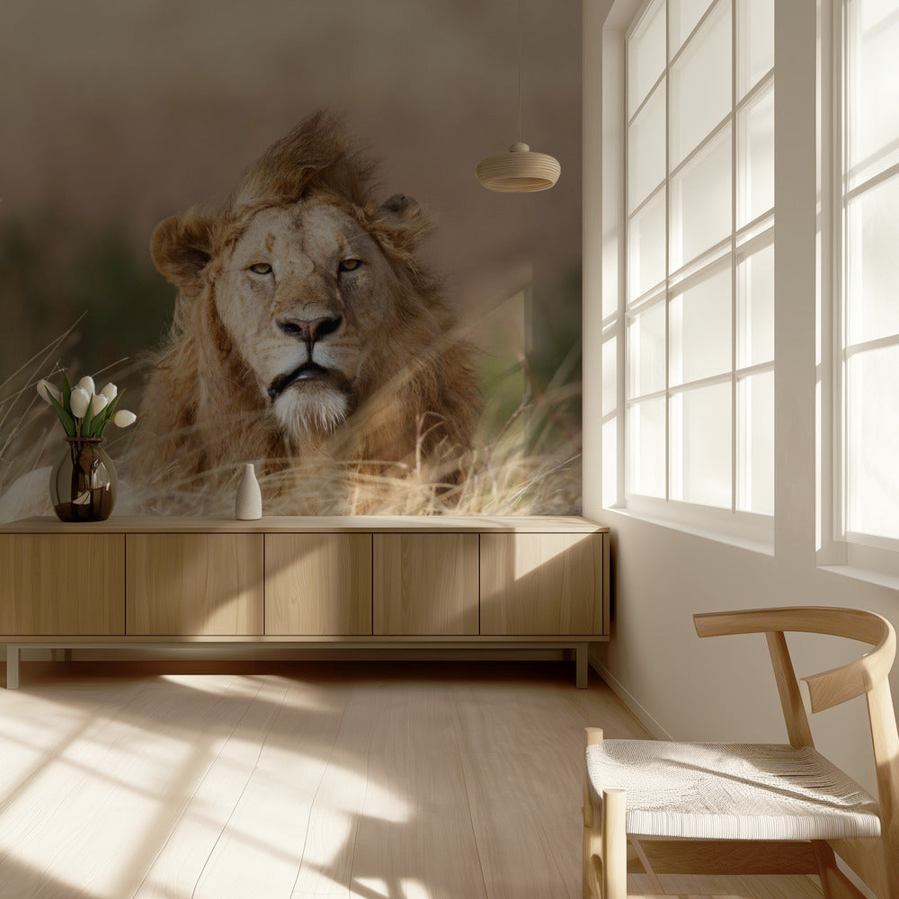 Handsome! | Wallpaper