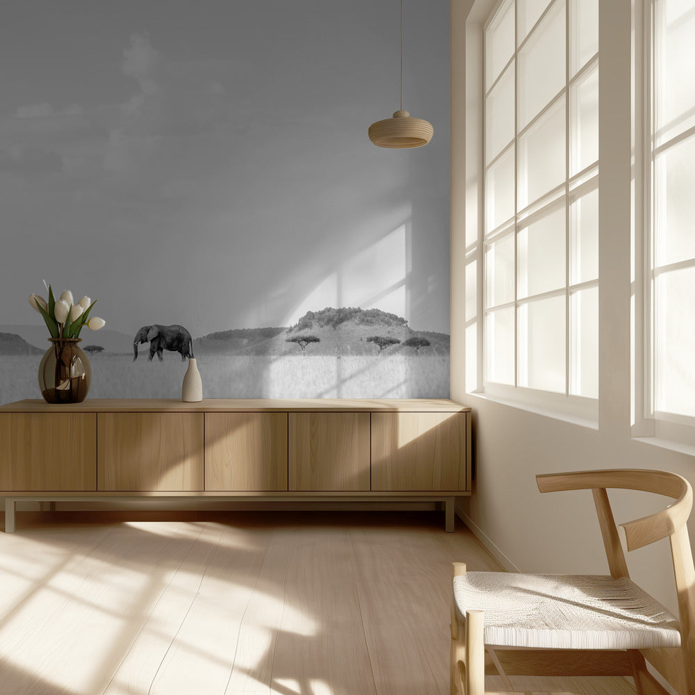 HIGH KEY SAVANNAH | Wallpaper