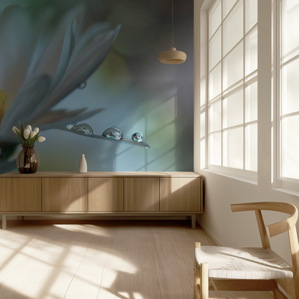 Light touch... | Wallpaper