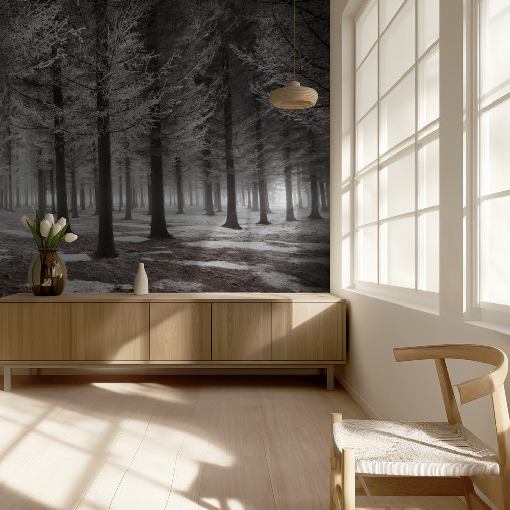 The onset of winter | Wallpaper