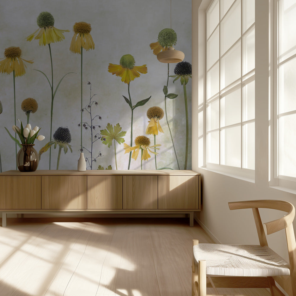 Helenium | Wallpaper