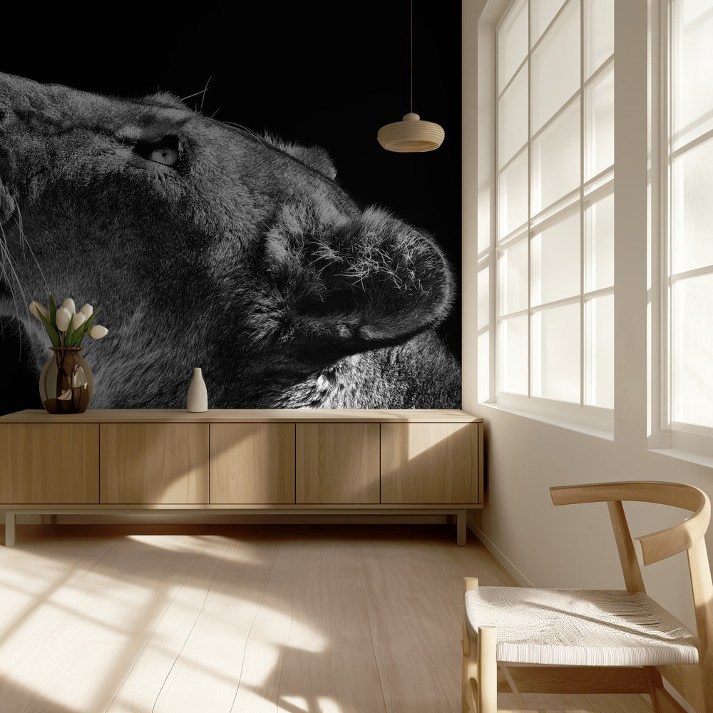 Looking Up | Wallpaper