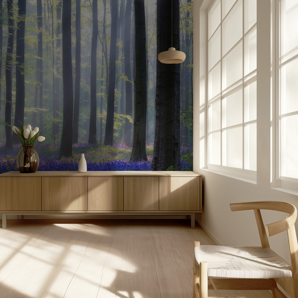 Bluebells | Wallpaper