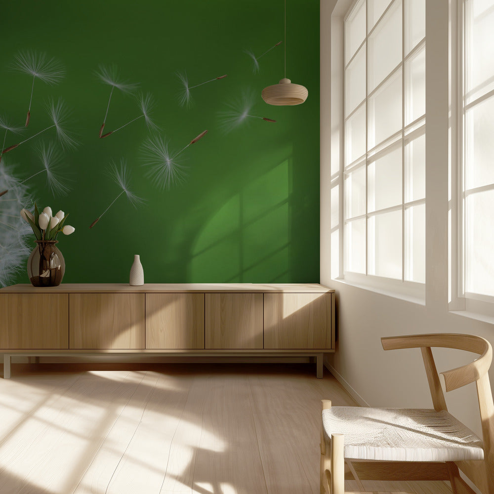 Dandelion Blowing | Wallpaper