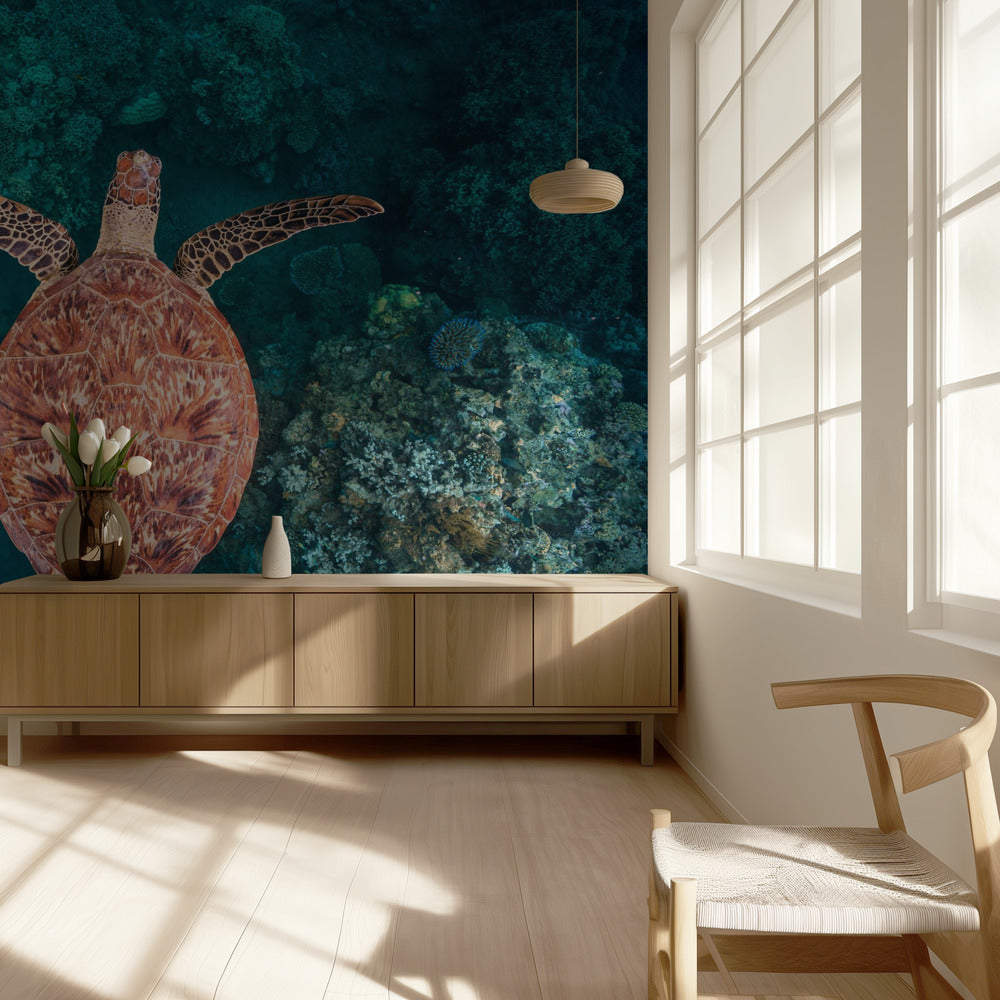 Flying over the reef | Wallpaper