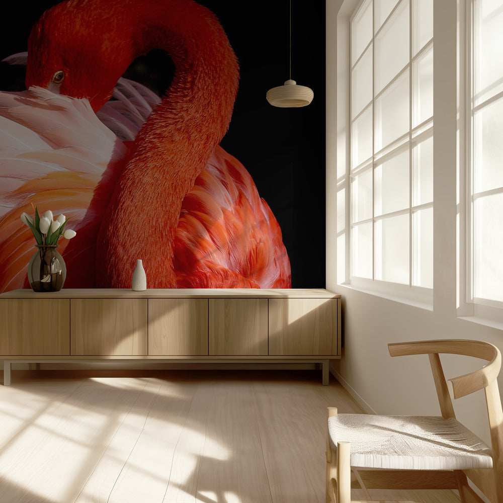 flamingo | Wallpaper