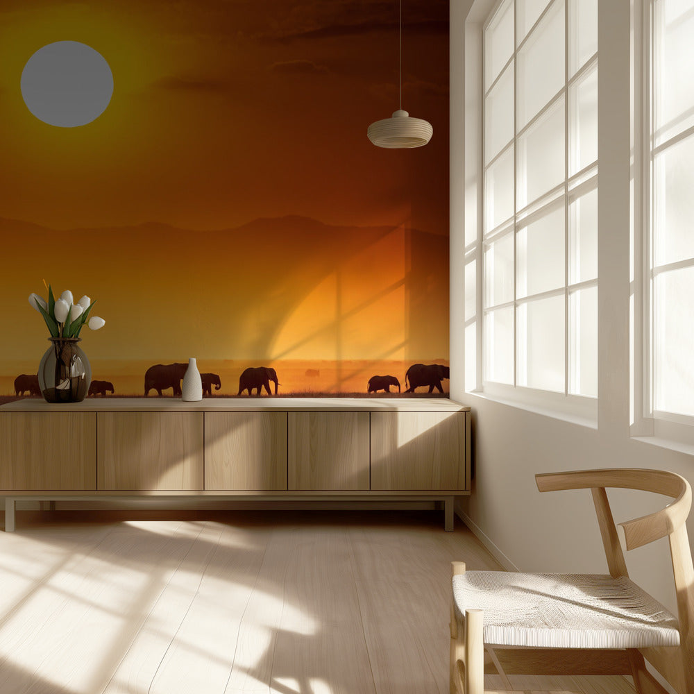 Sunrise parade | Wallpaper