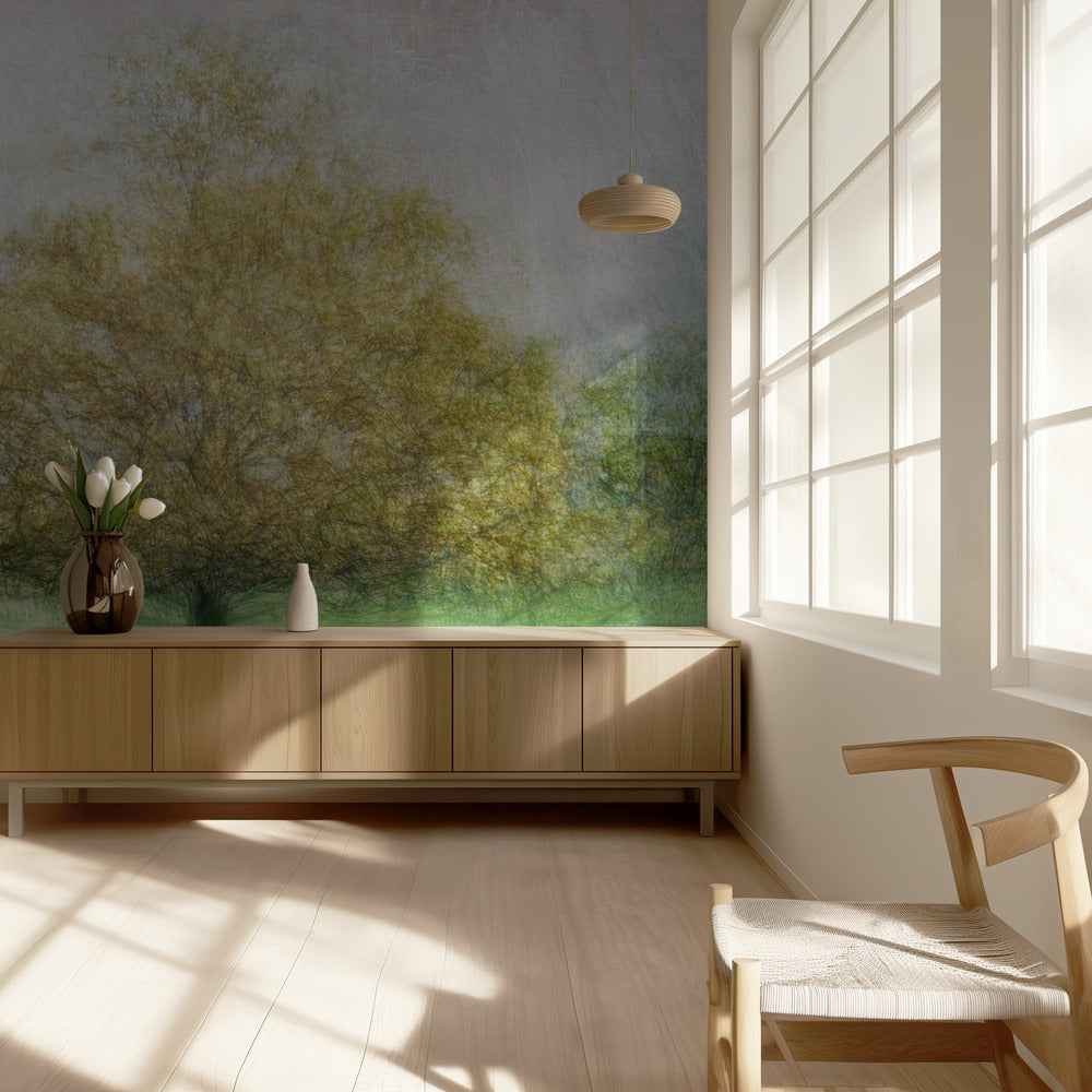 Solitaire | Wallpaper