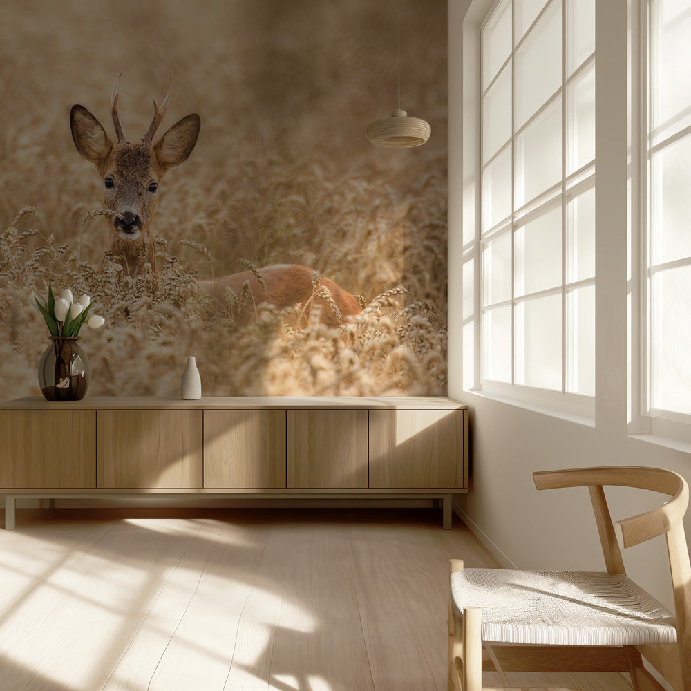 Deer in the field | Wallpaper