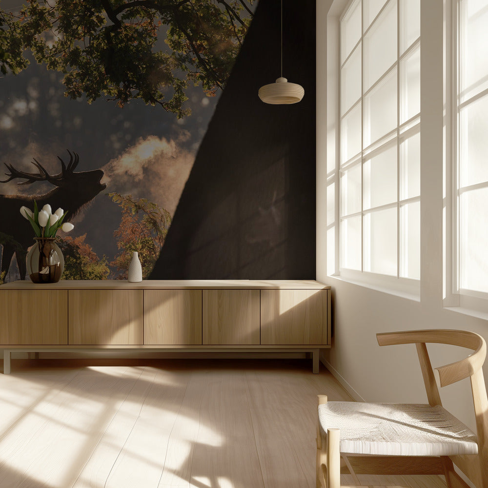 He Waits in the Shadows | Wallpaper