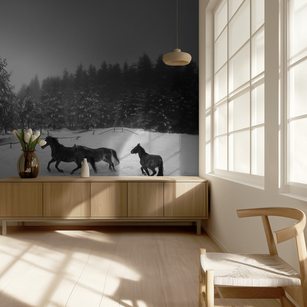 Untitled | Wallpaper