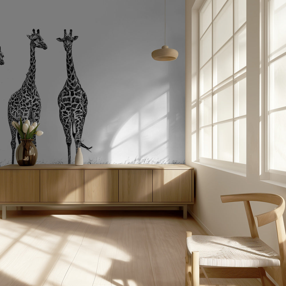 Giraffes in the Mara plains | Wallpaper