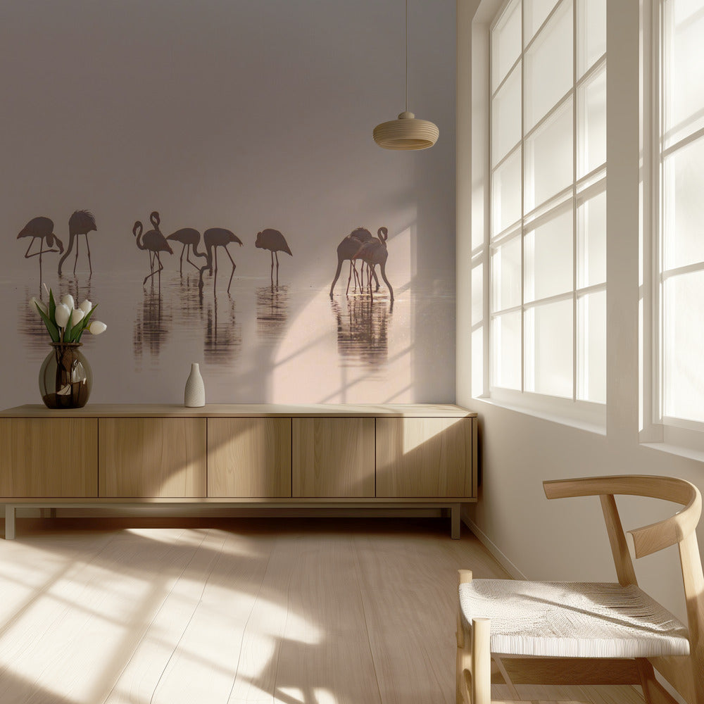 Flamingos in the mist | Wallpaper