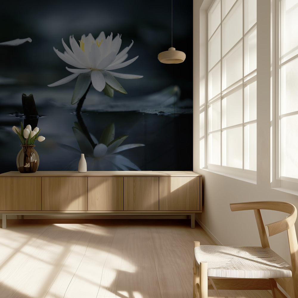 Reflection | Wallpaper