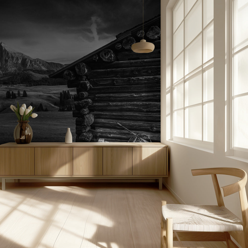 Untitled | Wallpaper