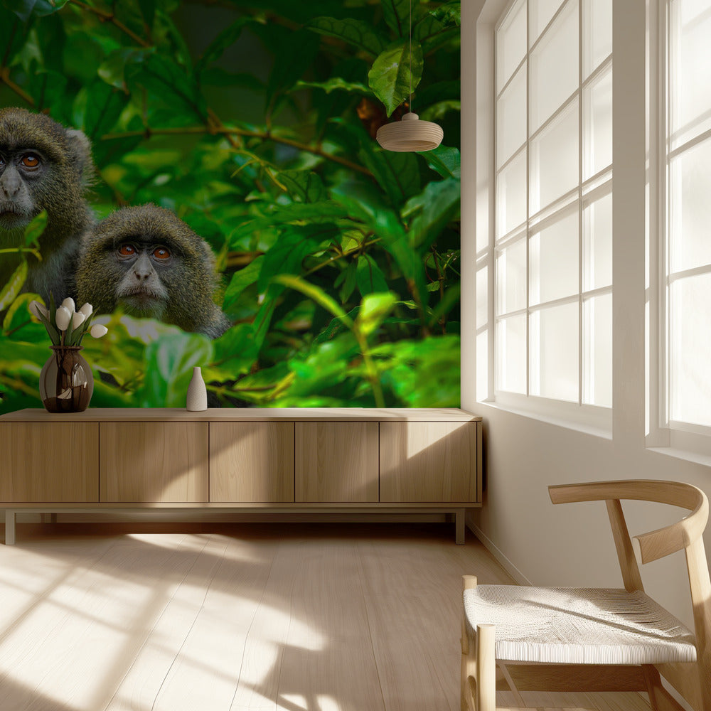 Blue Monkey | Wallpaper