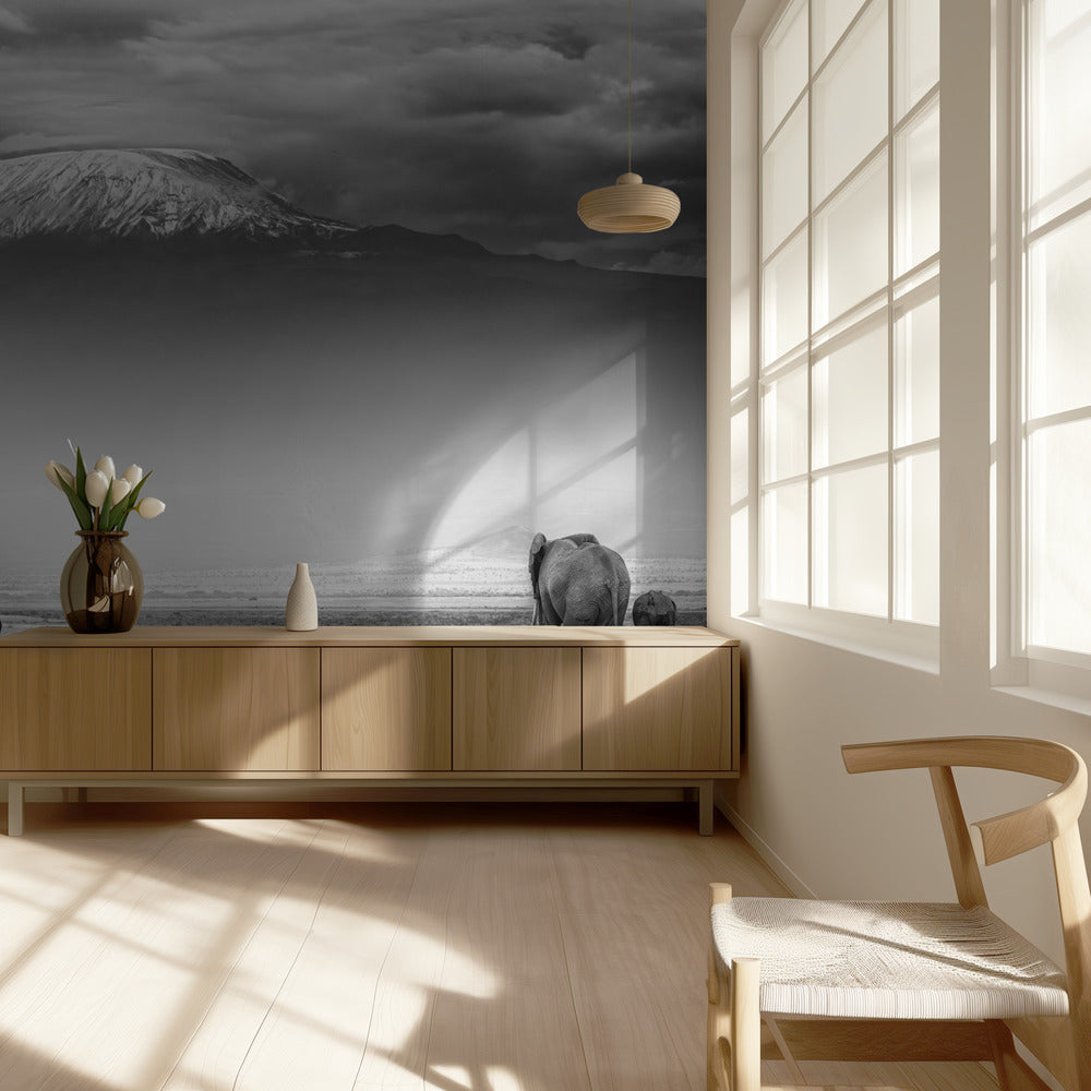 The land of giants | Wallpaper