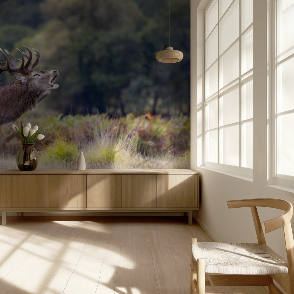 The scream of the deer | Wallpaper